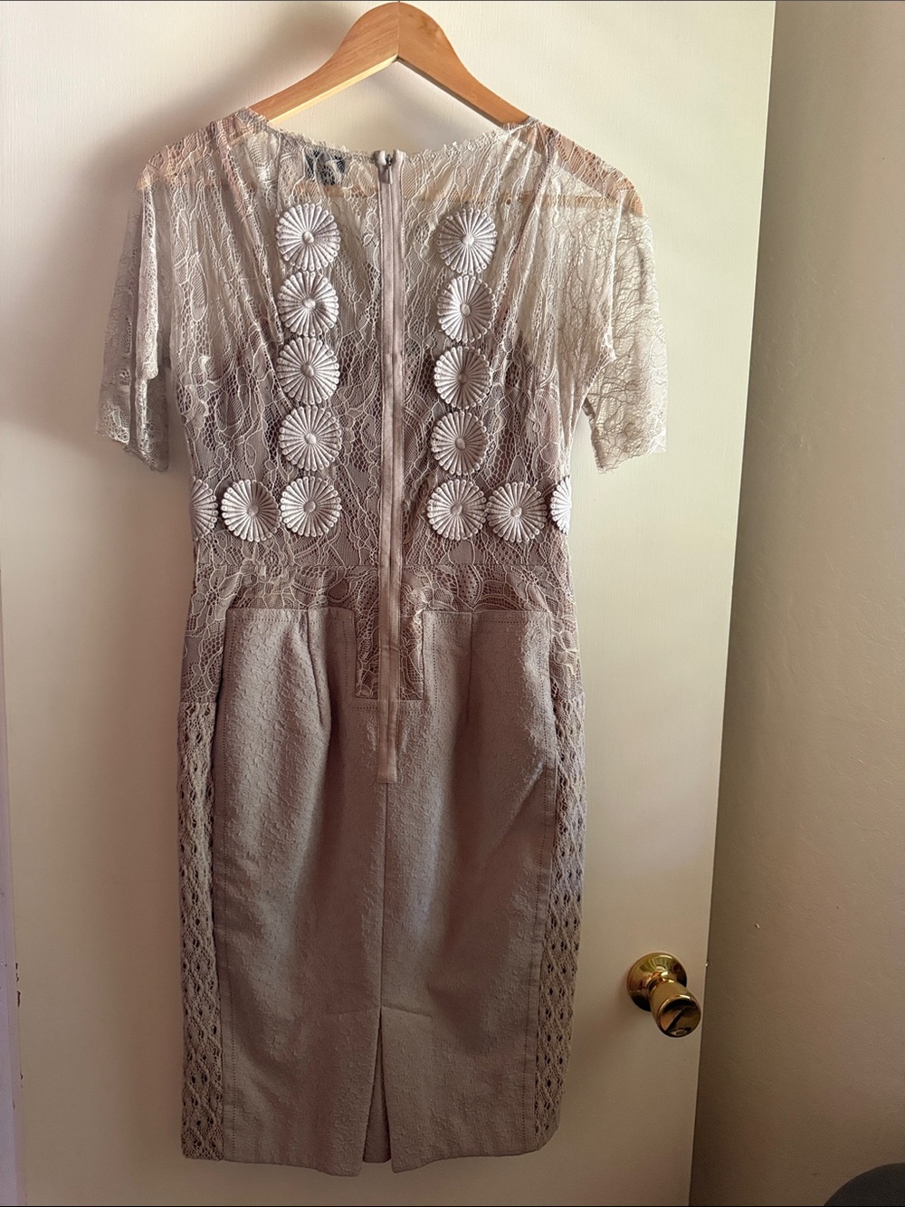BYRON LARS Taupe Lace Midi Dress with Floral Appliqué - Picture 3 of 6